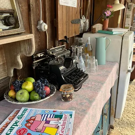 Getreidekasten Auf Einer Lamafarm *