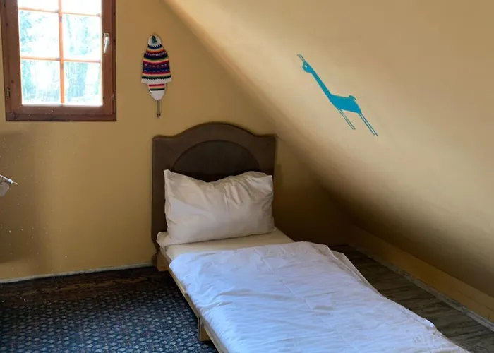 Getreidekasten Auf Einer Lamafarm